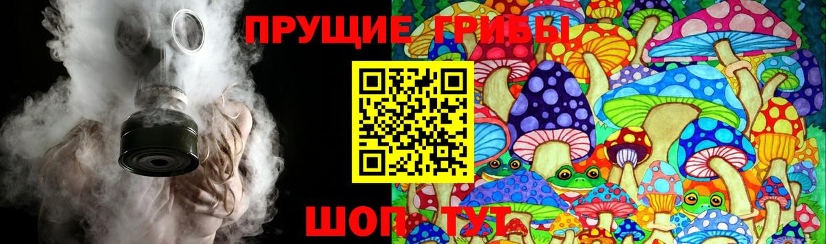Сергиев Посад  Псилоцибиновые грибы мухоморы  Вход с VPN 